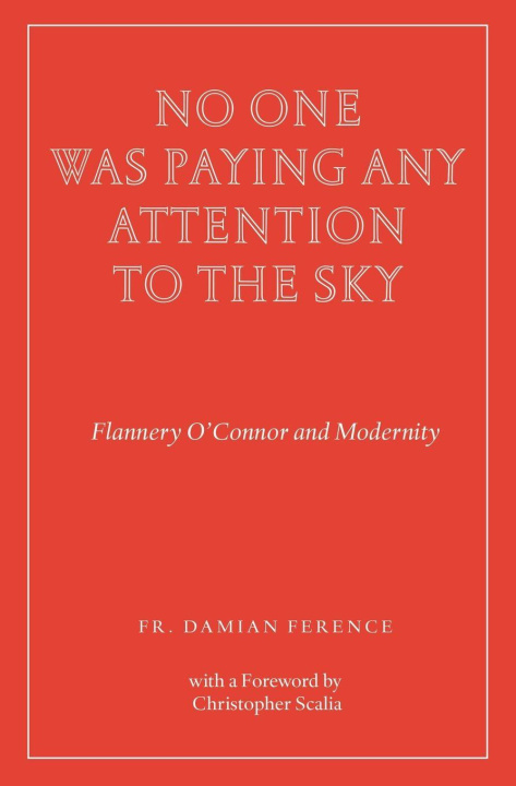 Libro No One Was Paying Any Attention to the Sky Damian Ference