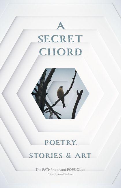 Knjiga A Secret Chord Amy Friedman