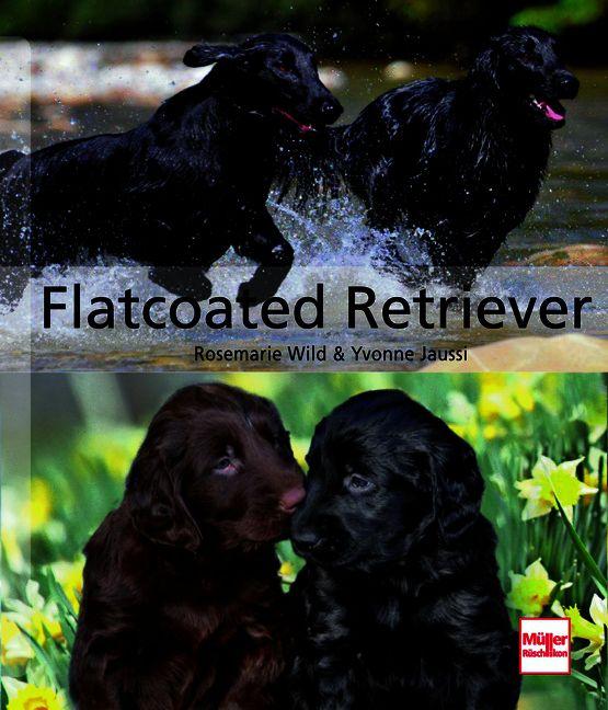 Carte Flatcoated Retriever Yvonne Jaussi
