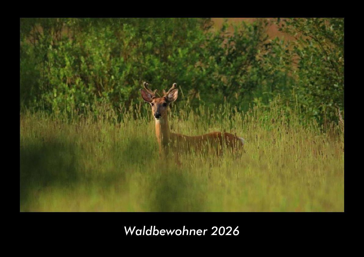 Koledar/Rokovnik Waldbewohner 2026 Fotokalender DIN A3 