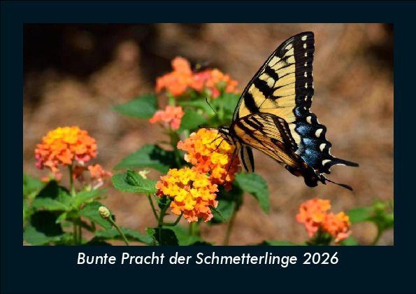 Kalendář/Diář Bunte Pracht der Schmetterlinge 2026 Fotokalender DIN A5 