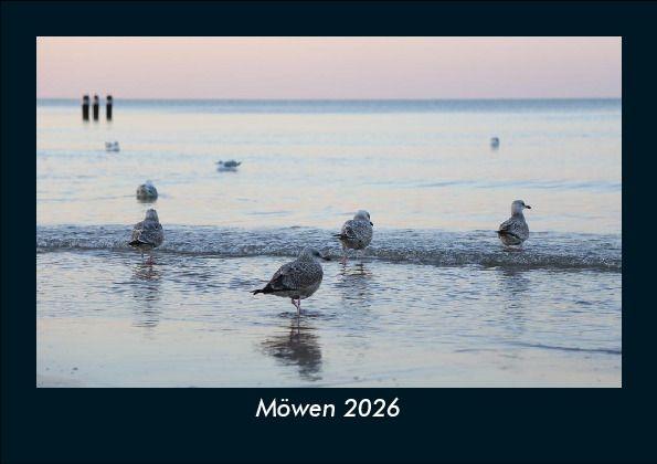 Kalendár/Diár Möwen 2026 Fotokalender DIN A5 