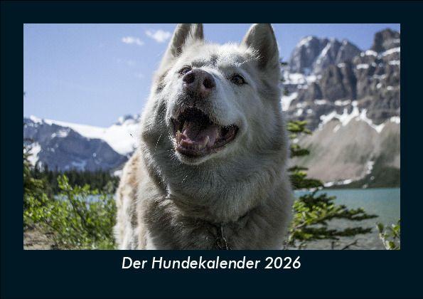 Kalendář/Diář Der Hundekalender 2026 Fotokalender DIN A5 