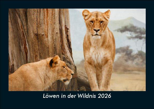 Kalendár/Diár Löwen in der Wildnis 2026 Fotokalender DIN A5 