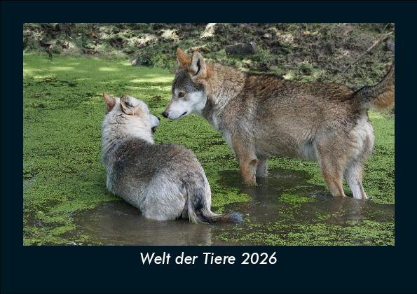 Kalendár/Diár Welt der Tiere 2026 Fotokalender DIN A5 