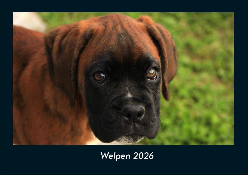 Koledar/Rokovnik Welpen 2026 Fotokalender DIN A4 