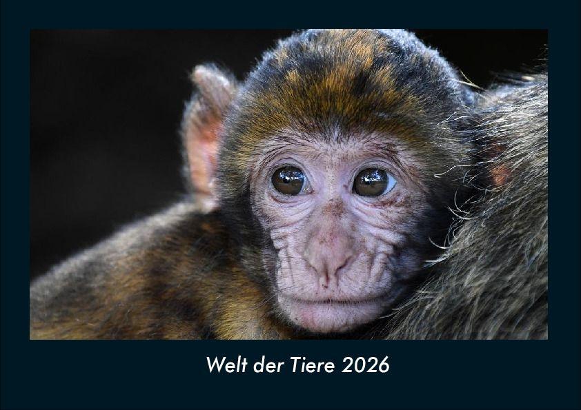 Kalendár/Diár Welt der Tiere 2026 Fotokalender DIN A4 