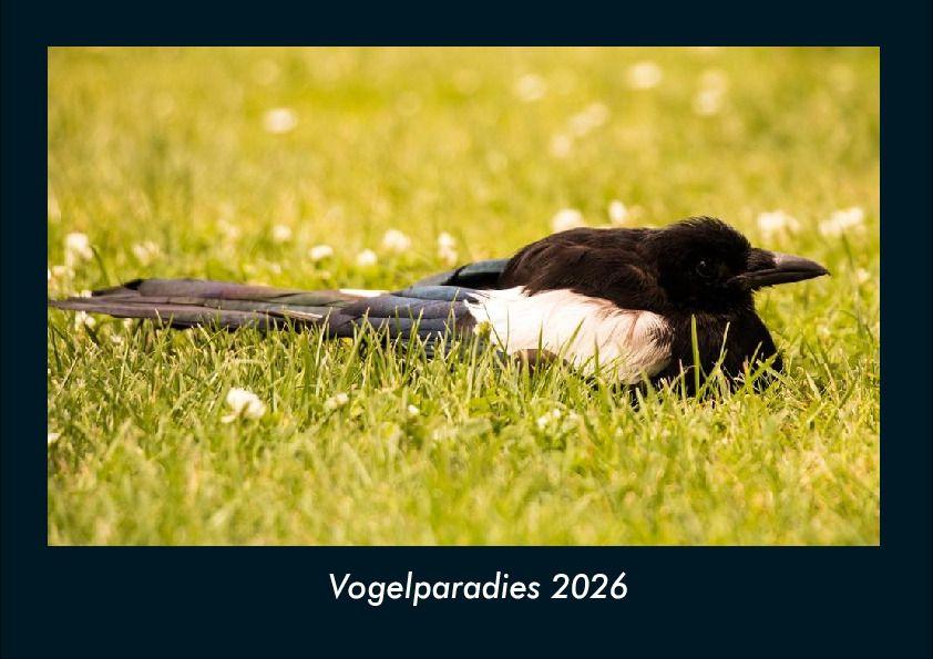 Kalendář/Diář Vogelparadies 2026 Fotokalender DIN A4 