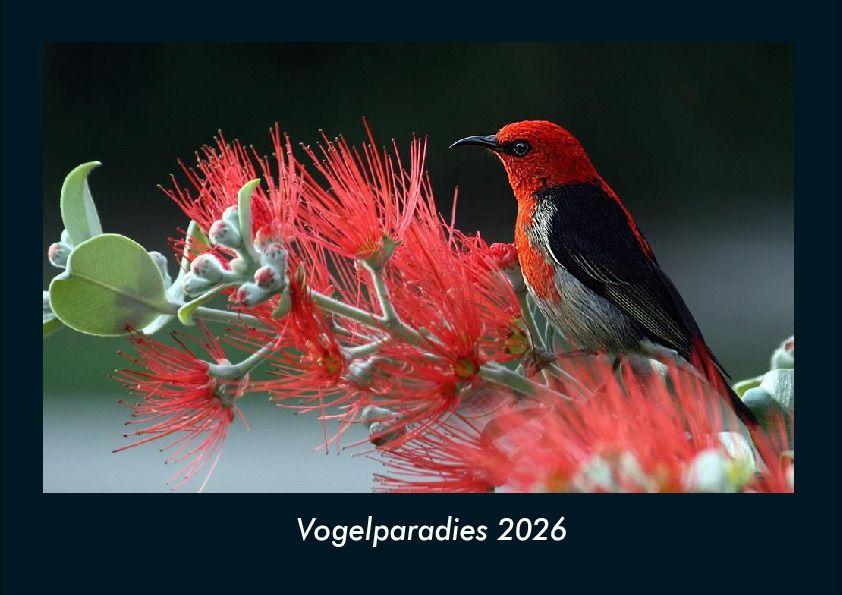 Kalendář/Diář Vogelparadies 2026 Fotokalender DIN A4 