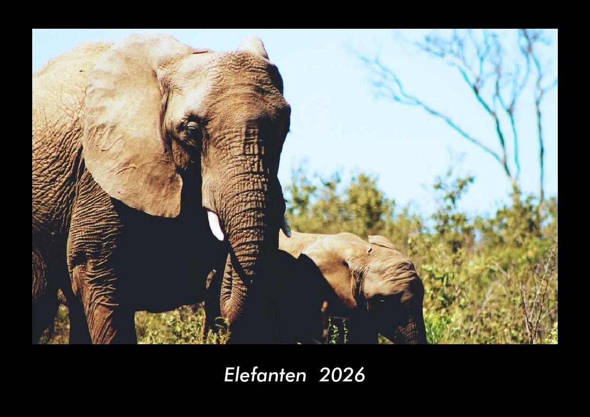 Kalendář/Diář Elefanten  2026 Fotokalender DIN A3 