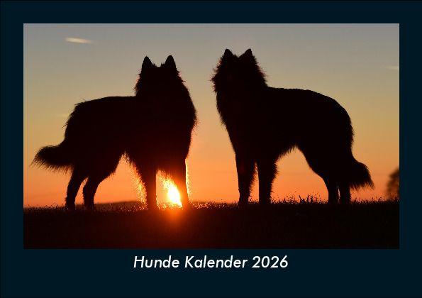 Koledar/Rokovnik Hunde Kalender 2026 Fotokalender DIN A5 