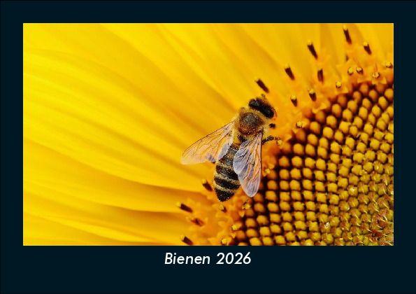 Kalendář/Diář Bienen 2026 Fotokalender DIN A5 