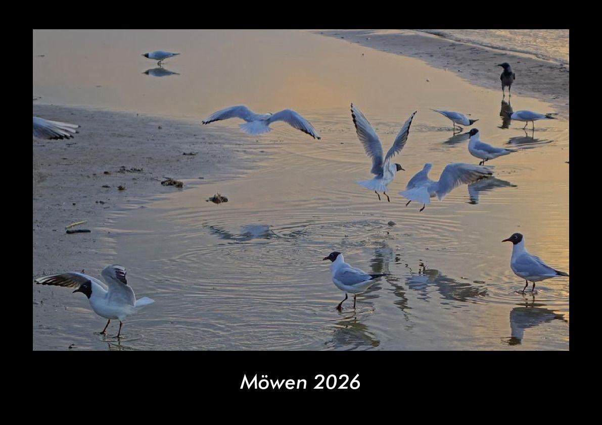 Koledar/Rokovnik Möwen 2026 Fotokalender DIN A3 