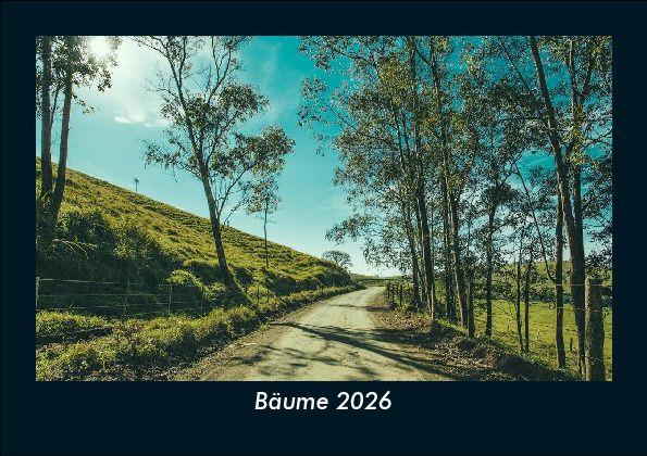 Kalendář/Diář Bäume 2026 Fotokalender DIN A5 