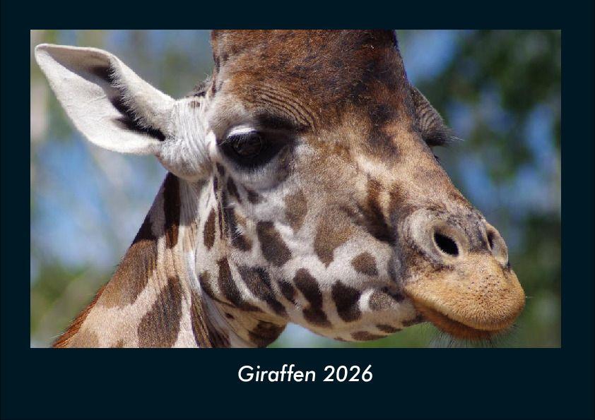 Koledar/Rokovnik Giraffen 2026 Fotokalender DIN A4 
