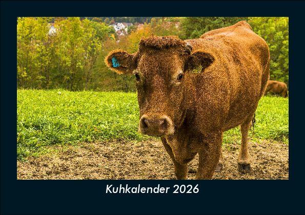 Kalendár/Diár Kuhkalender 2026 Fotokalender DIN A5 