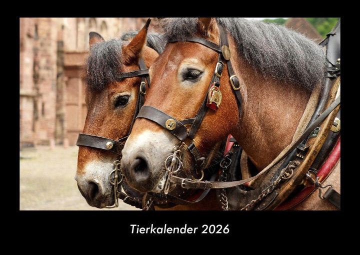 Calendario/Diario Tierkalender 2026 Fotokalender DIN A3 