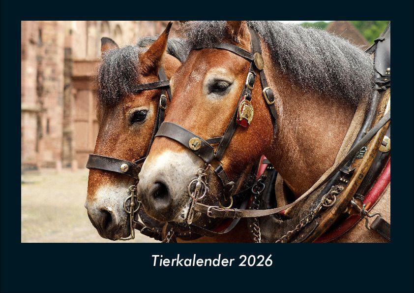 Kalendár/Diár Tierkalender 2026 Fotokalender DIN A4 