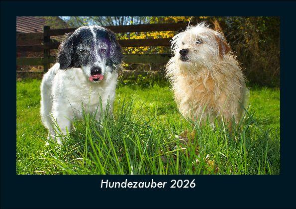 Kalendár/Diár Hundezauber 2026 Fotokalender DIN A5 
