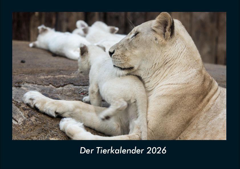Kalendár/Diár Der Tierkalender 2026 Fotokalender DIN A4 