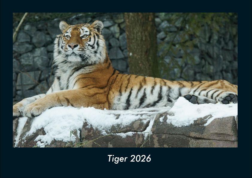 Calendario/Diario Tiger 2026 Fotokalender DIN A4 