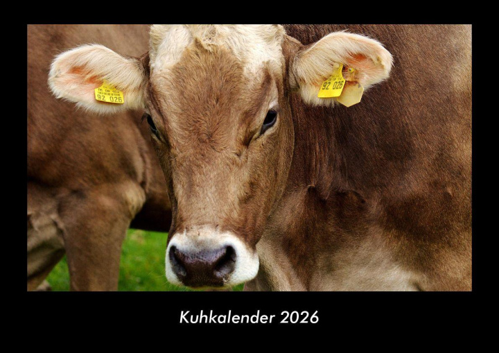 Koledar/Rokovnik Kuhkalender 2026 Fotokalender DIN A3 