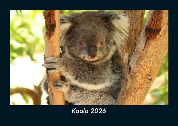 Calendario/Diario Koala 2026 Fotokalender DIN A5 