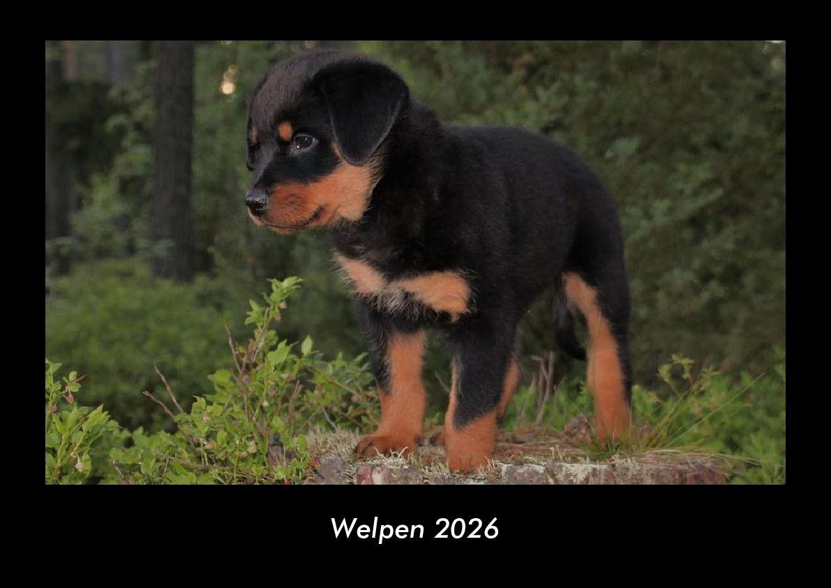 Koledar/Rokovnik Welpen 2026 Fotokalender DIN A3 