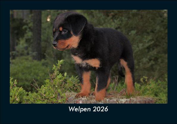 Koledar/Rokovnik Welpen 2026 Fotokalender DIN A5 