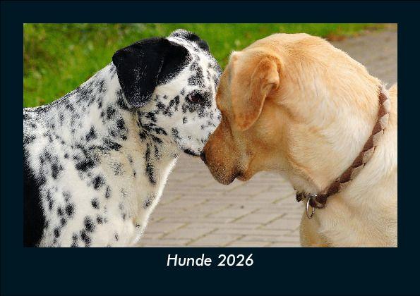 Kalendář/Diář Hunde 2026 Fotokalender DIN A5 