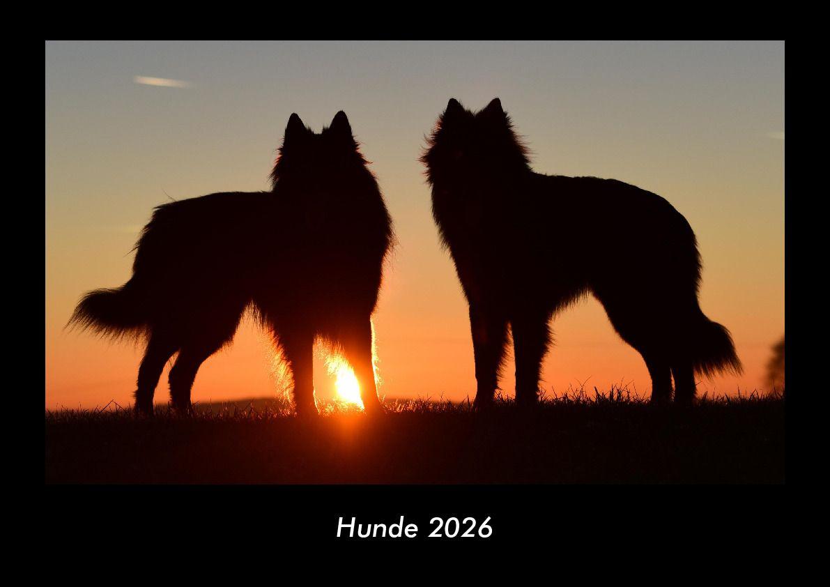 Kalendář/Diář Hunde 2026 Fotokalender DIN A3 