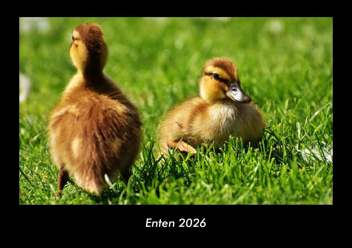 Calendario/Diario Enten 2026 Fotokalender DIN A3 
