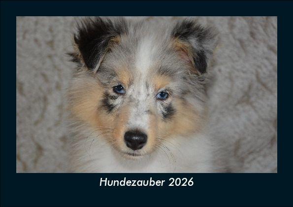 Kalendár/Diár Hundezauber 2026 Fotokalender DIN A5 