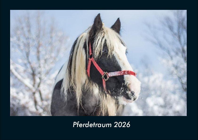 Kalendár/Diár Pferdetraum 2026 Fotokalender DIN A4 