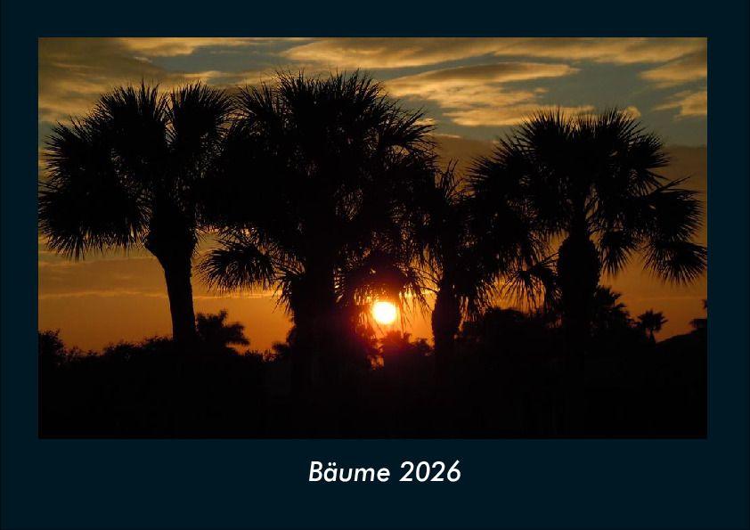 Kalendář/Diář Bäume 2026 Fotokalender DIN A4 