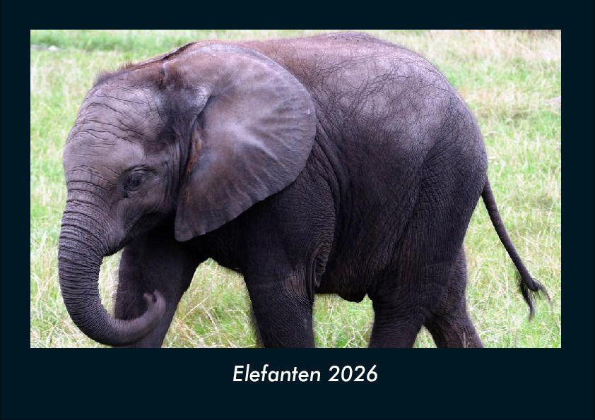 Koledar/Rokovnik Elefanten 2026 Fotokalender DIN A4 