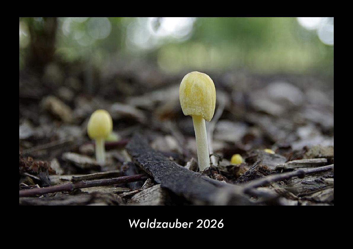 Kalendár/Diár Waldzauber 2026 Fotokalender DIN A3 