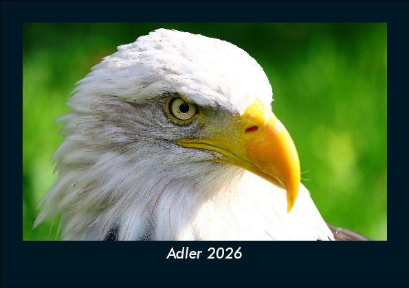 Kalendář/Diář Adler 2026 Fotokalender DIN A5 