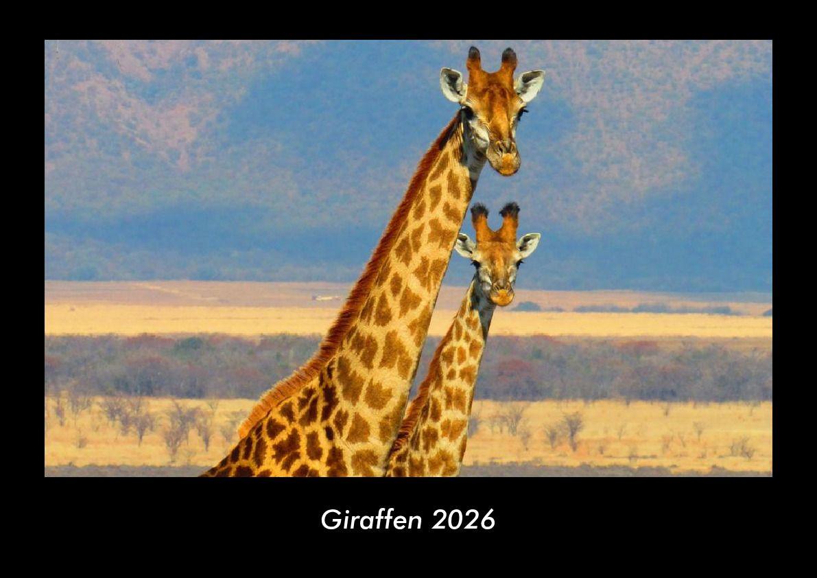 Kalendář/Diář Giraffen 2026 Fotokalender DIN A3 