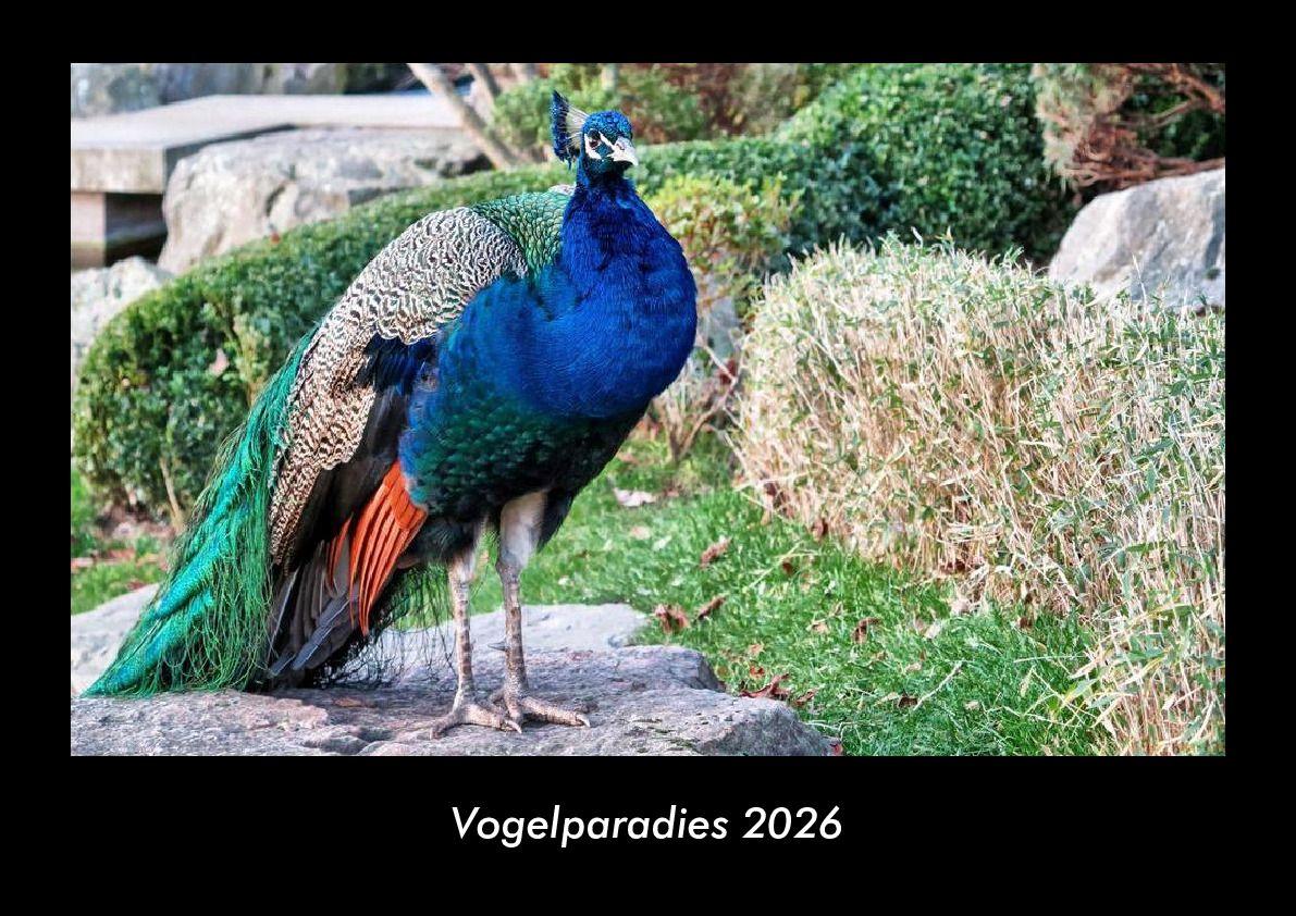 Calendario/Diario Vogelparadies 2026 Fotokalender DIN A3 