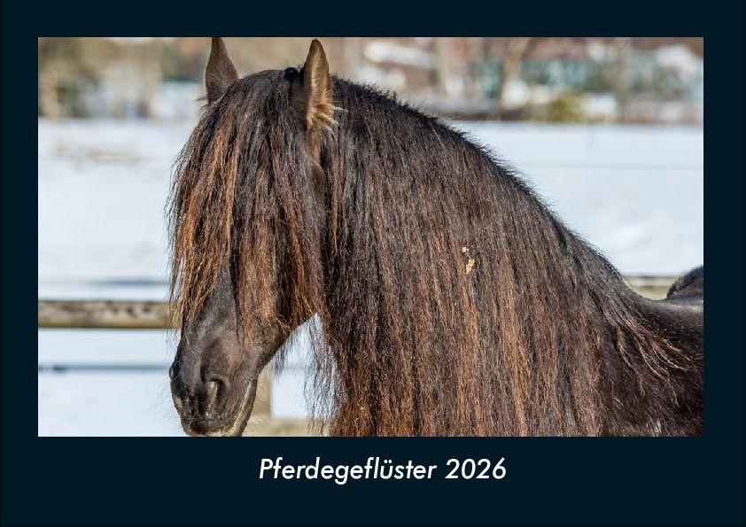 Kalendár/Diár Pferdegeflüster 2026 Fotokalender DIN A4 