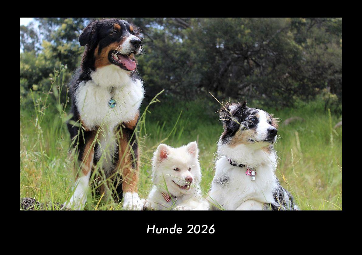 Koledar/Rokovnik Hunde 2026 Fotokalender DIN A3 