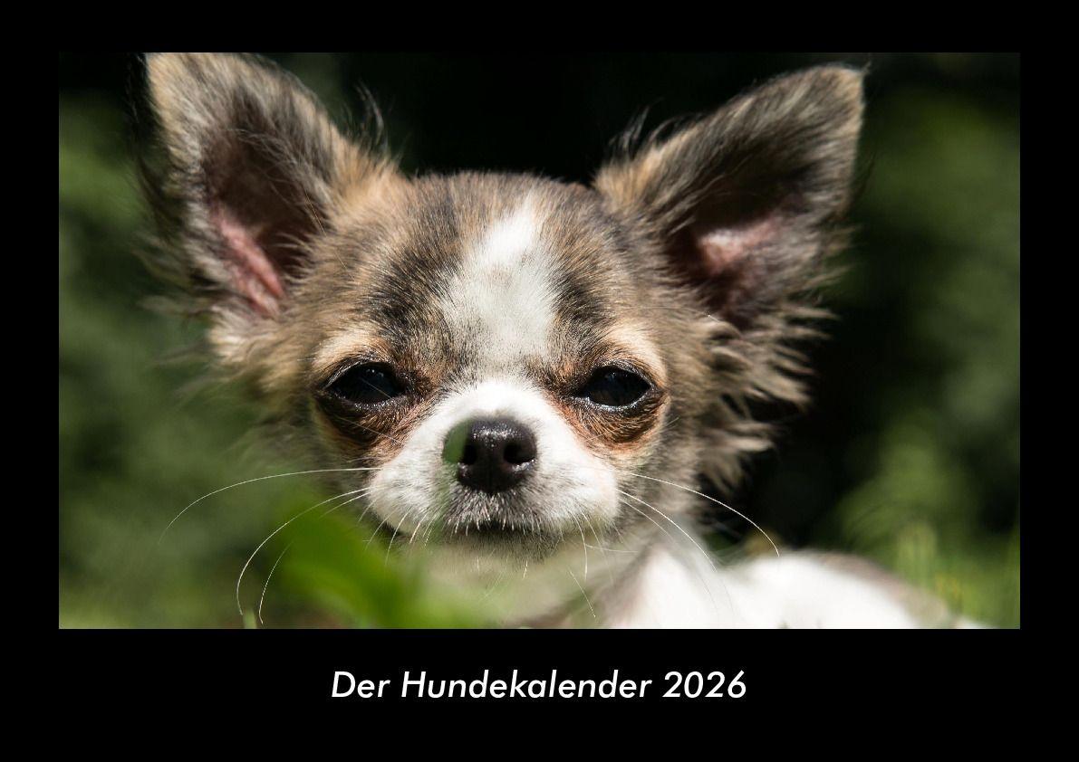 Kalendár/Diár Der Hundekalender 2026 Fotokalender DIN A3 