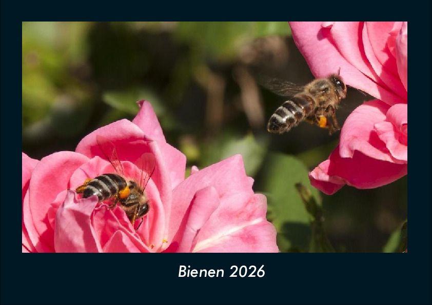 Kalendár/Diár Bienen 2026 Fotokalender DIN A4 
