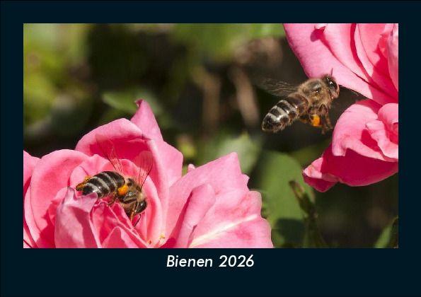 Kalendár/Diár Bienen 2026 Fotokalender DIN A5 