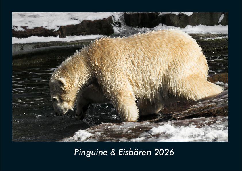 Koledar/Rokovnik Pinguine & Eisbären 2026 Fotokalender DIN A4 