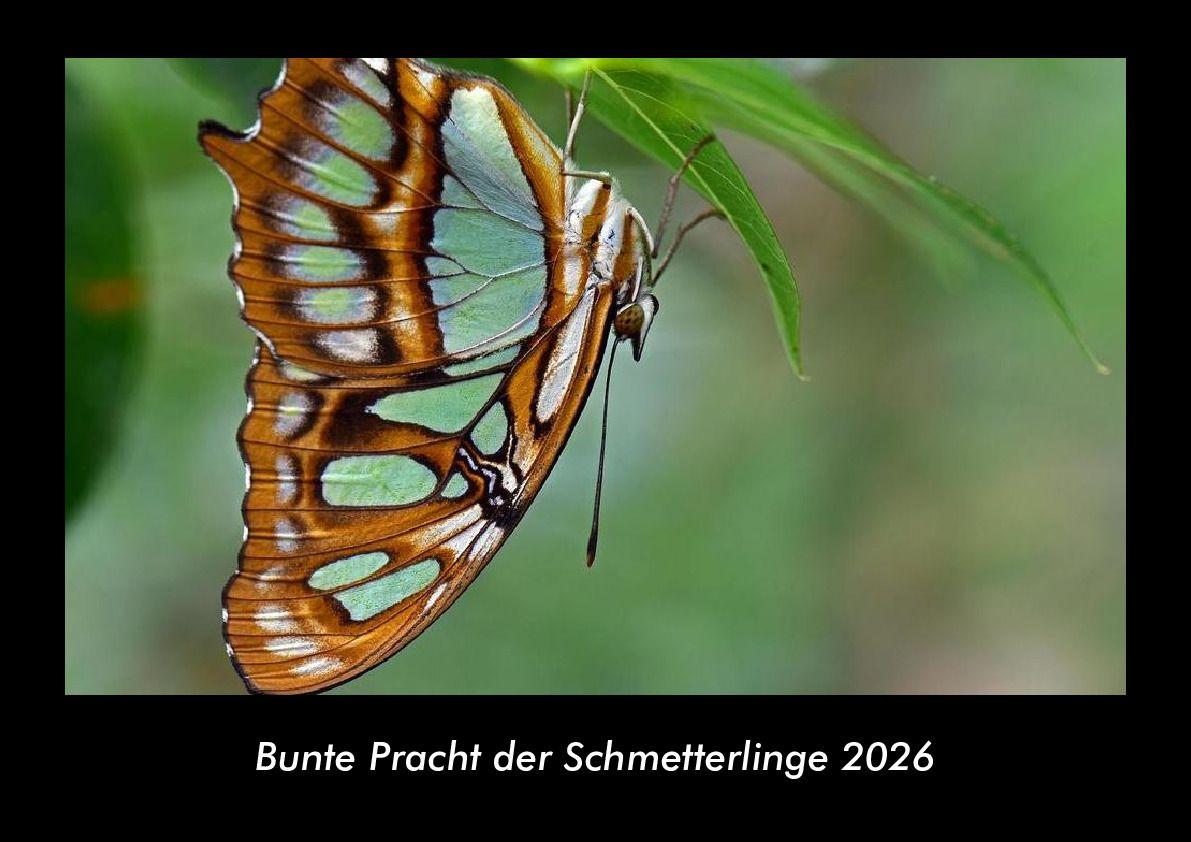 Kalendár/Diár Bunte Pracht der Schmetterlinge 2026 Fotokalender DIN A3 