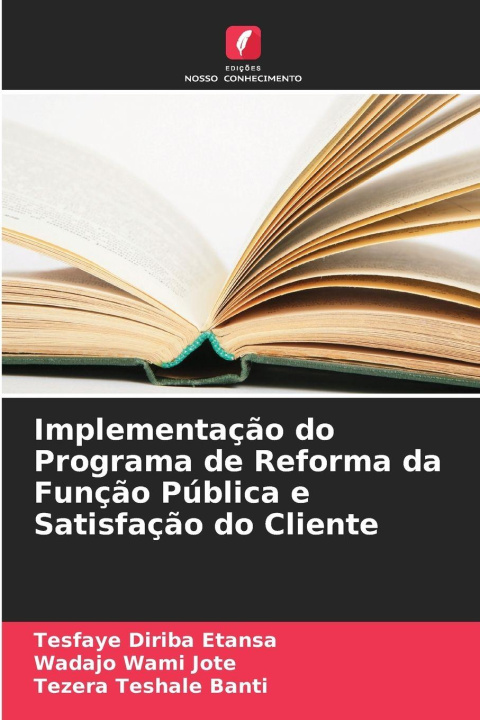 Kniha Implementação do Programa de Reforma da Função Pública e Satisfação do Cliente Wadajo Wami Jote