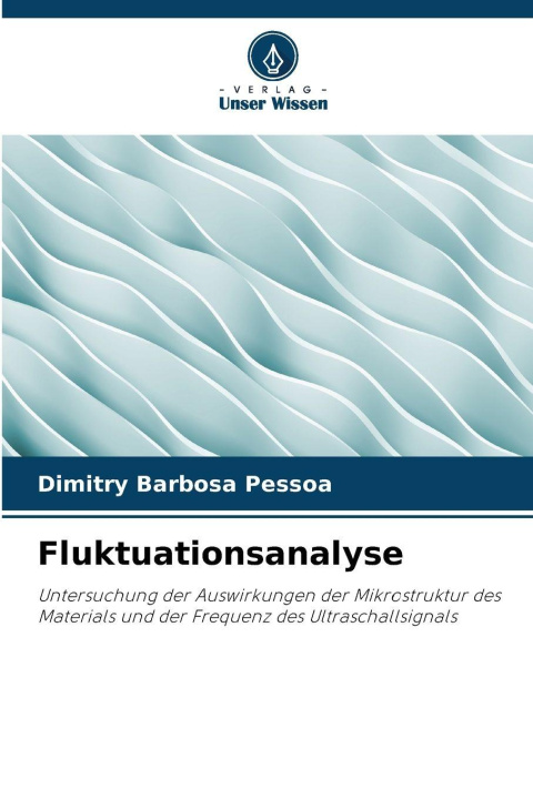 Kniha Fluktuationsanalyse Dimitry Barbosa Pessoa