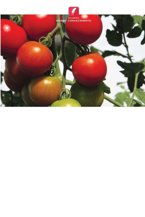 Kniha Enxertia de tomate para melhorar o rendimento e a qualidade na Tanzânia Carlene A. Chase